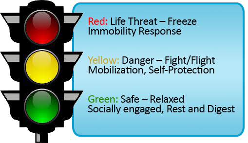 Traffic Light Danger