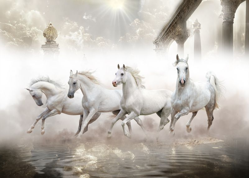File:White Horses.jpg